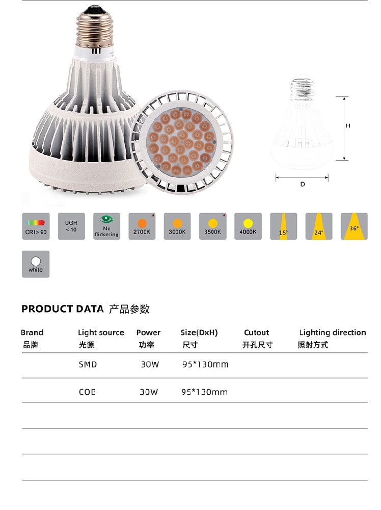 PAR30射灯-不带风扇SMD贴片款